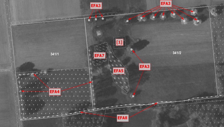 Działanie wnioskodawcy - Przypadek II Widoczne na materiale graficznym faktyczne użytkowanie gruntu jest rozbieżne z granicą działki ewidencyjnej.