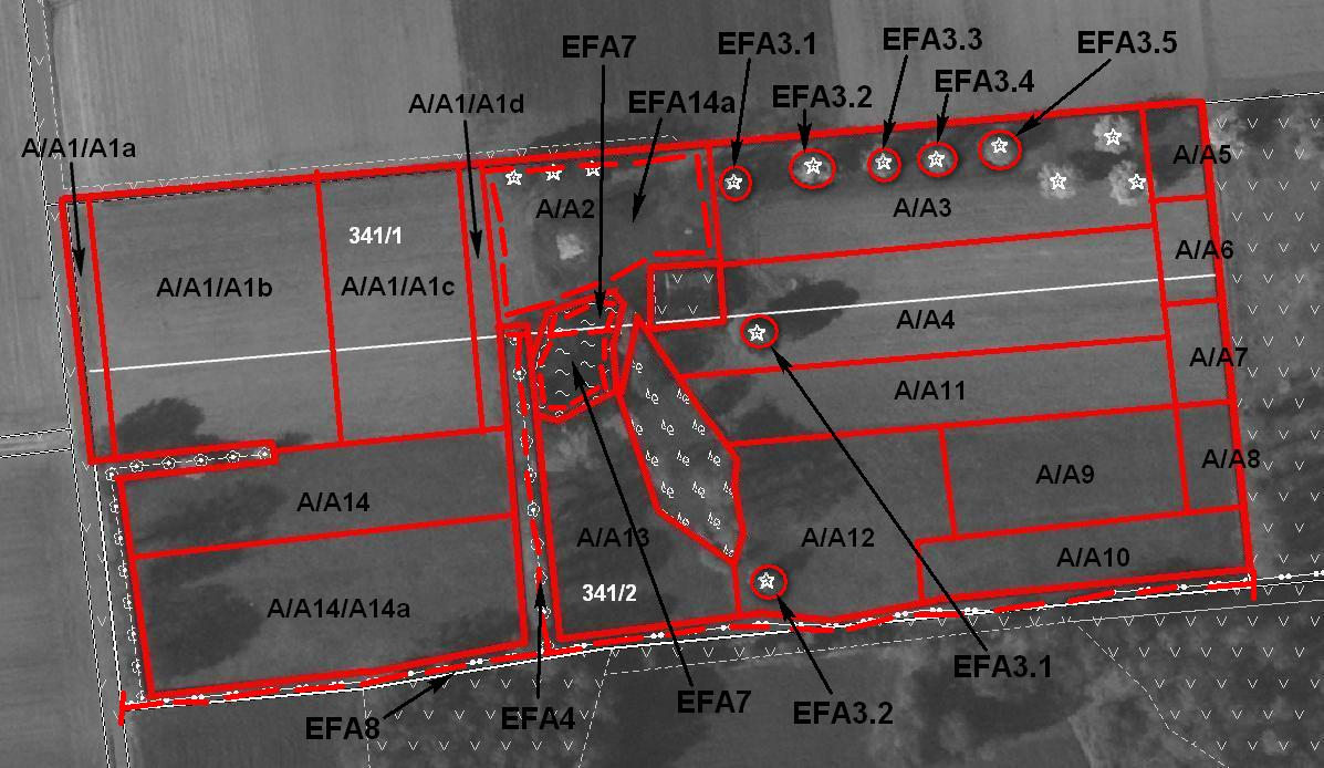 Wnioskodawca (w niniejszym przykładzie) zadeklarował elementy EFA zajmujące 8 110 m2.