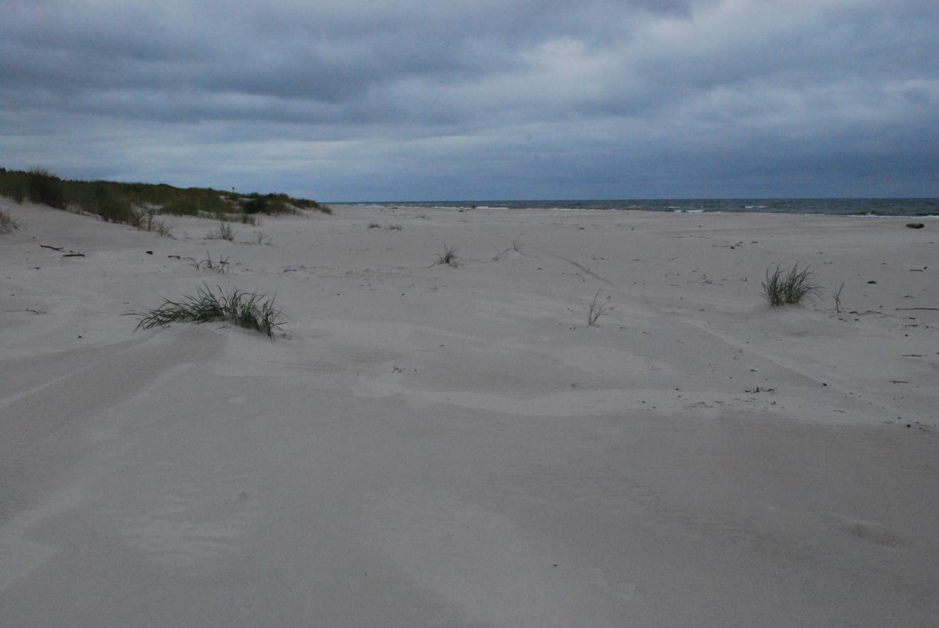 Badane w 2013 roku stanowiska dają reprezentatywne wyniki dla regionu biogeograficznego. Monitoringiem objęto prawie cały pas wybrzeża od miejscowości Świnoujście do miejscowości Gdynia.