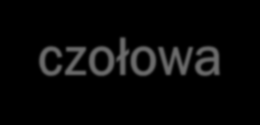 PRZYPOMNIENIE: POJĘCIA PODSTAWOWE Płaszczyzny główne sprzężone optycznie płaszczyzny, prostopadłe do osi, w których powiększenie poprzeczne równe jest +1; Punkty główne (przedmiotowy i obrazowy)