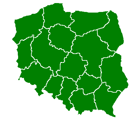 Program terapeutyczny astmy ciężkiej w Polsce 395 pacjentów 11