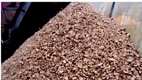 Specjalistyczne metody produkcji buraków cukrowych do pozyskiwania biogazu Jeśli buraki cukrowe są uprawiane specjalnie na potrzeby pozyskiwania biogazu, dzięki specjalnym metodom produkcji moŝliwe