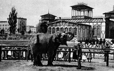 Stare ZOO w Poznaniu Chyba każdy z nas zwiedzał choć raz ogród zoologiczny w centrum Poznania.