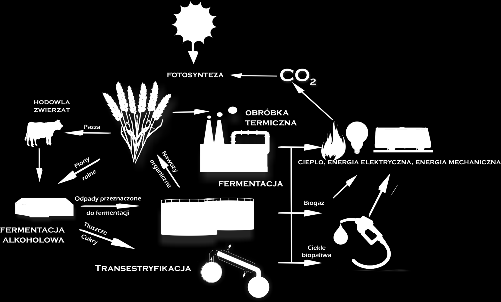 4 Biomasa jako odnawialny surowiec