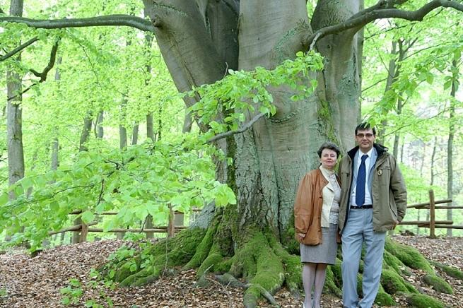 Buk Pospolity Buk pospolity (po łacinie Fagus
