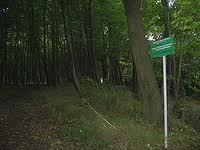 Grupowy pomnik przyrody na Kolibkach Ten grupowy pomnik przyrody to skupisko 10 dębów