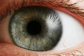Tęczówka Tęczówka (iris) nieprzezroczysta tarczka stanowiąca przednią część błony naczyniówkowej oka. W centrum zawiera otwór zwany źrenicą.