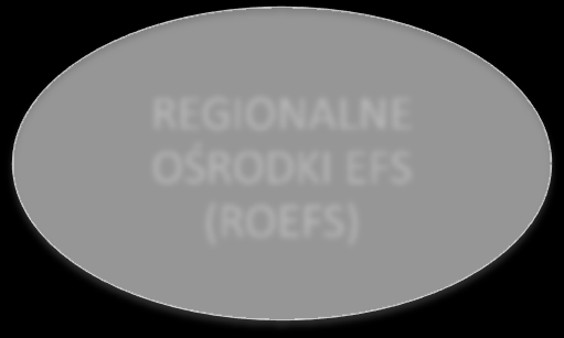 KRAJOWY SYSTEM USŁUG (KSU) PUNKTY INFORMACYJNE FUNDUSZY EUROPEJSKICH (PIFE)