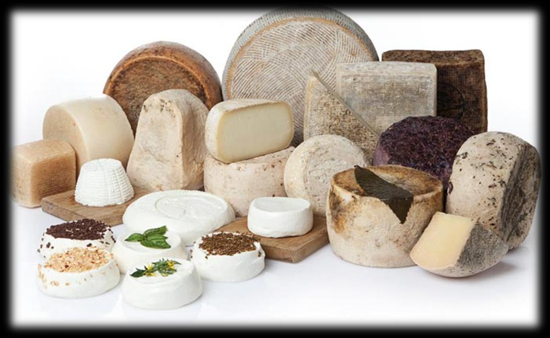 Włoskie Sery PRZEWODNIK ASIAGO, BEL SEPI, FONTINA, GORGONZOLA, GRANA PADANO, INBRIAGO, PARMIGIANO REGGIANO, PECORINO