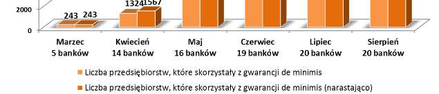 poręczenia (BGK, program de minimis) wynosi ok. 203,1 tys. zł.