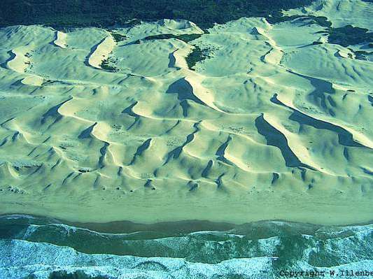 wydmy paraboliczne występują na obszarach, gdzie wody gruntowe zalegają płytko a na powierzchni występuje