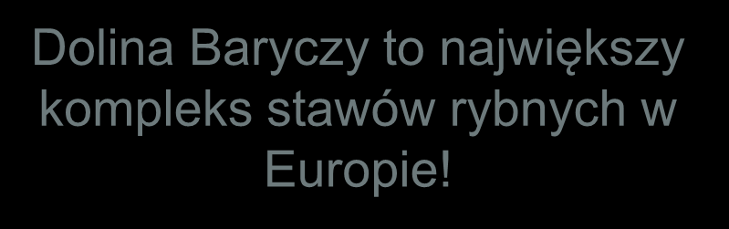 największy