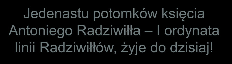 Istnieją dwie teorie: pierwsza - w podziemiach kaplicy miało powstać kino, druga w podziemiach
