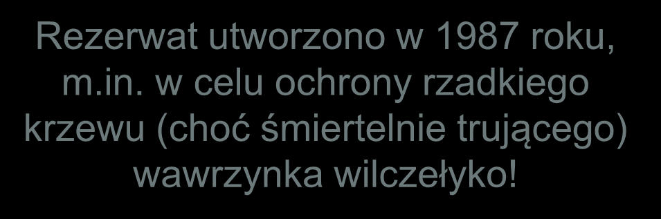 Rezerwat utworzono w 1987 roku, m.in.