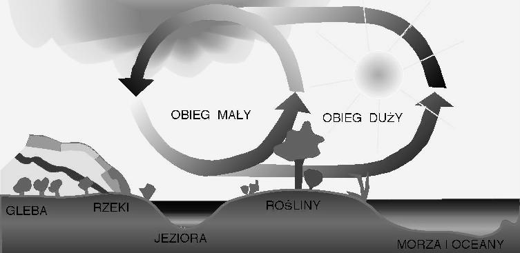 [0 1] W przyrodzie wszystkie substancje występują w trzech stanach skupienia: stałym, ciekłym i gazowym. Podpisz poprawnie rysunki przedstawiające modele różnych stanów skupienia. 1.... 2.... 3.