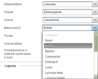 W sekcji Dane adresowe wpisuje się podstawowe dane dotyczące miejsca zamieszkania. W obszarze Rodzaj adresu można wybrać różne warianty: "Zameldowania stały", "Zameldowania tymczasowy", "Przebywania".