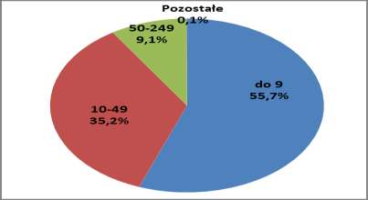z dnia 6 sierpnia 2008 r 2.), przynajmniej w części funduszy jedynym stosowanym kryterium mogła być wielkość zatrudnienia.