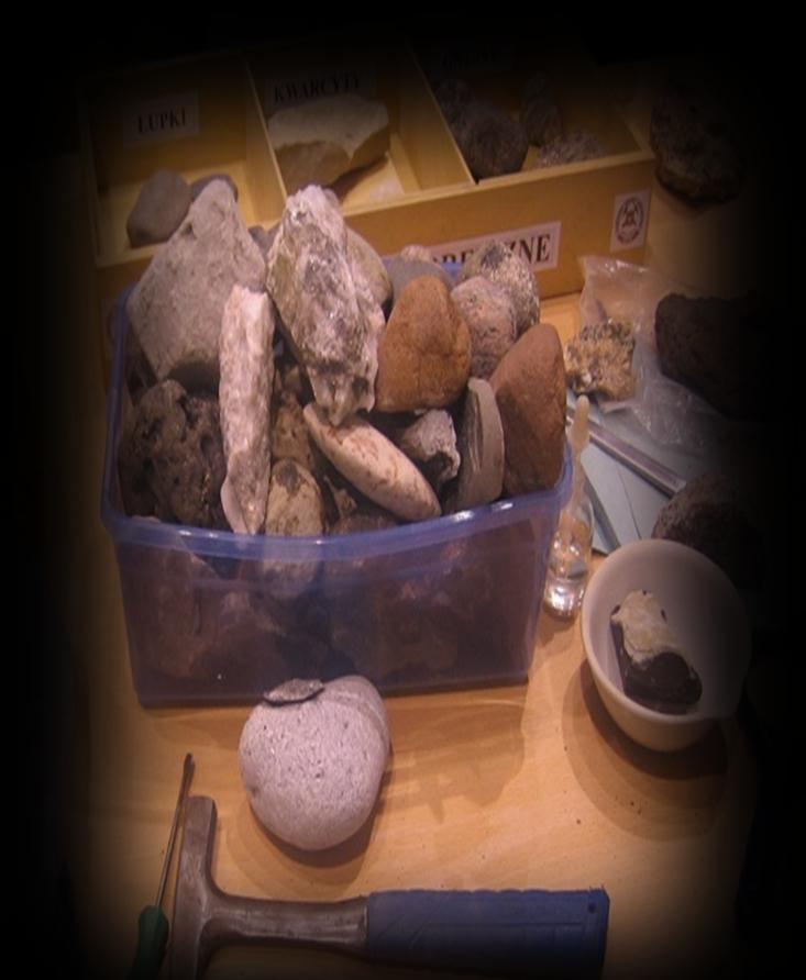 KLASA A MATEMATYCZNA ZAJĘCIA TERENOWE NA KLIFIE ORŁOWSKIM W GDYNI Młodzież poznaje przeszłość geologiczną klifu, specyfikę pracy geologa, sposoby ochrony wysokich brzegów przed abrazją.