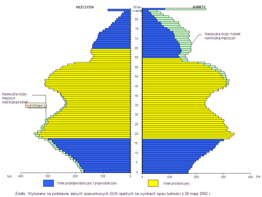 Ludność według płci i wieku w Polsce w 2003 r.