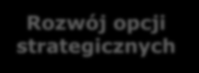 Strategia rozwoju Rozwój opcji strategicznych Jaki kierunek? Jak to zrobić? Kierunki rozwoju 1. Penetracja rynku 2.