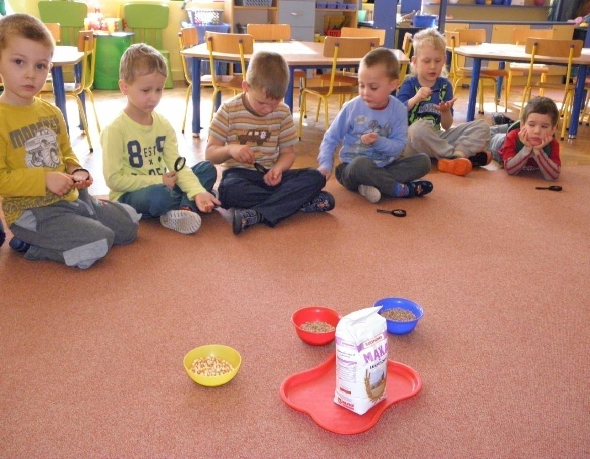 Różne ziarna - oglądanie i porównywanie różnych