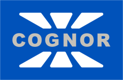 4 % EMITENT OBLIGACJI 100 % 96,2 % TRANSPORT 89,8 % PTS PRODUKCJA HUTNICZA 2. Opis skrótów NAZWA PEŁNA SKRÓTY Cognor S.A. COGNOR Ferrostal -Łabędy Sp. z o.o. FERROSTAL, FERR ZW-Walcownia Bruzdowa Sp.