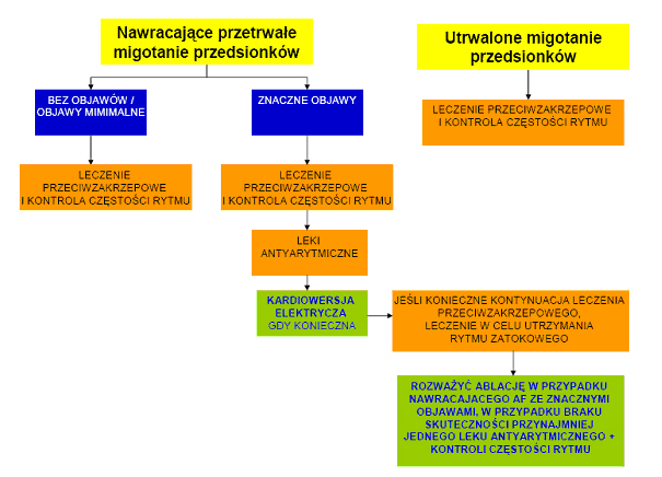 Piśmiennictwo 1. ACC/AHA/ESC 2006 Guidelines for the Management of Patients With Atrial Fibrillation: full text.