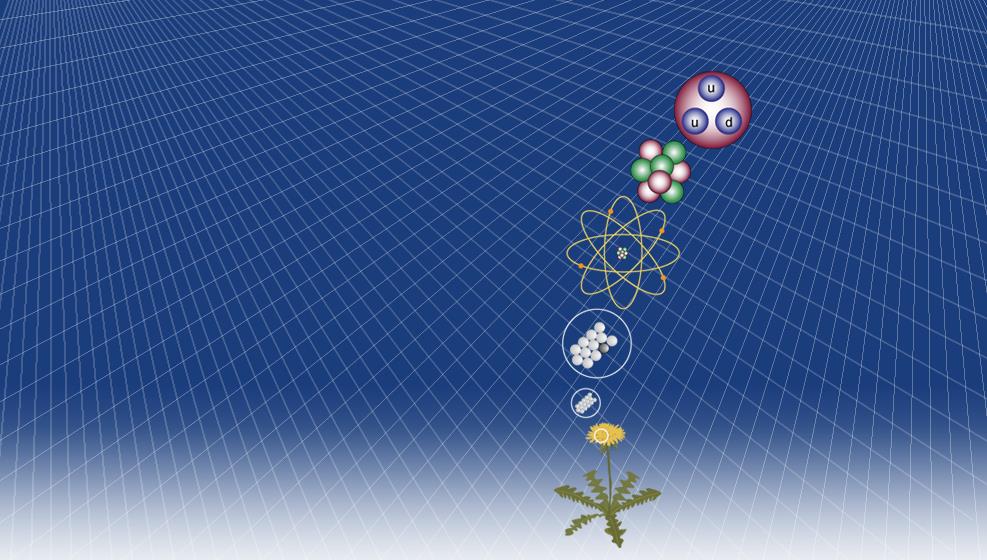 Podstawowe składniki materii Elementarnymi cegiełkami materii są maleńkie cząstki - dużo mniejsze od atomów Kwarki Proton Używając 4 typów