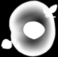 wielojadrzasty CFU-M = colony forming unit macrophage Wg: Boyle WJ, et al.