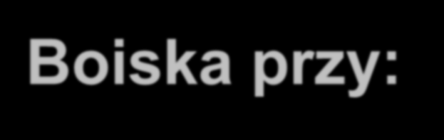 Boiska przy: Zespole Szkół Nr 12, Krakowska 19 Inwestycje w trakcie realizacji: VIII Liceum Ogólnokształcącym w Białymstoku, ul. Piastowska 5 Specjalnym Ośrodku Szkolno-Wychowawczym, ul.