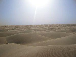 Szaroziemy,buroziemy,gleby pustynne Występują w strefie klimatu zwrotnikowego i podzwrotnikowego na obszarach o skąpej roślinności, wysokiej