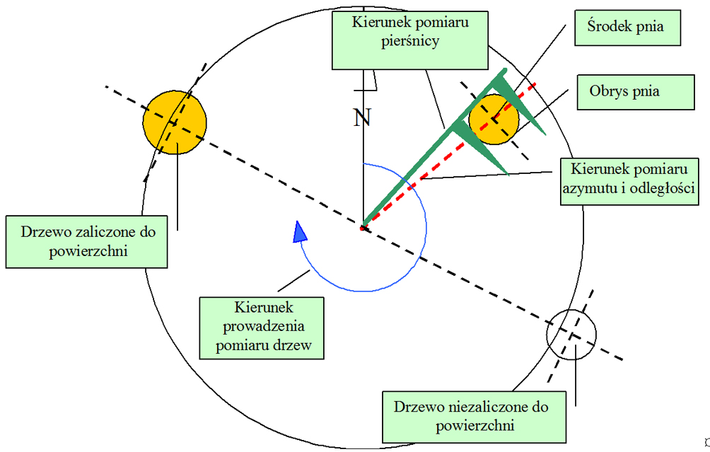 Odległość i azymut Dla wszystkich drzew (i krzewów) na powierzchni, równych lub większych od ustalonego progu pomiaru pierśnicy (70 mm w korze) mierzy się odległość i azymut.