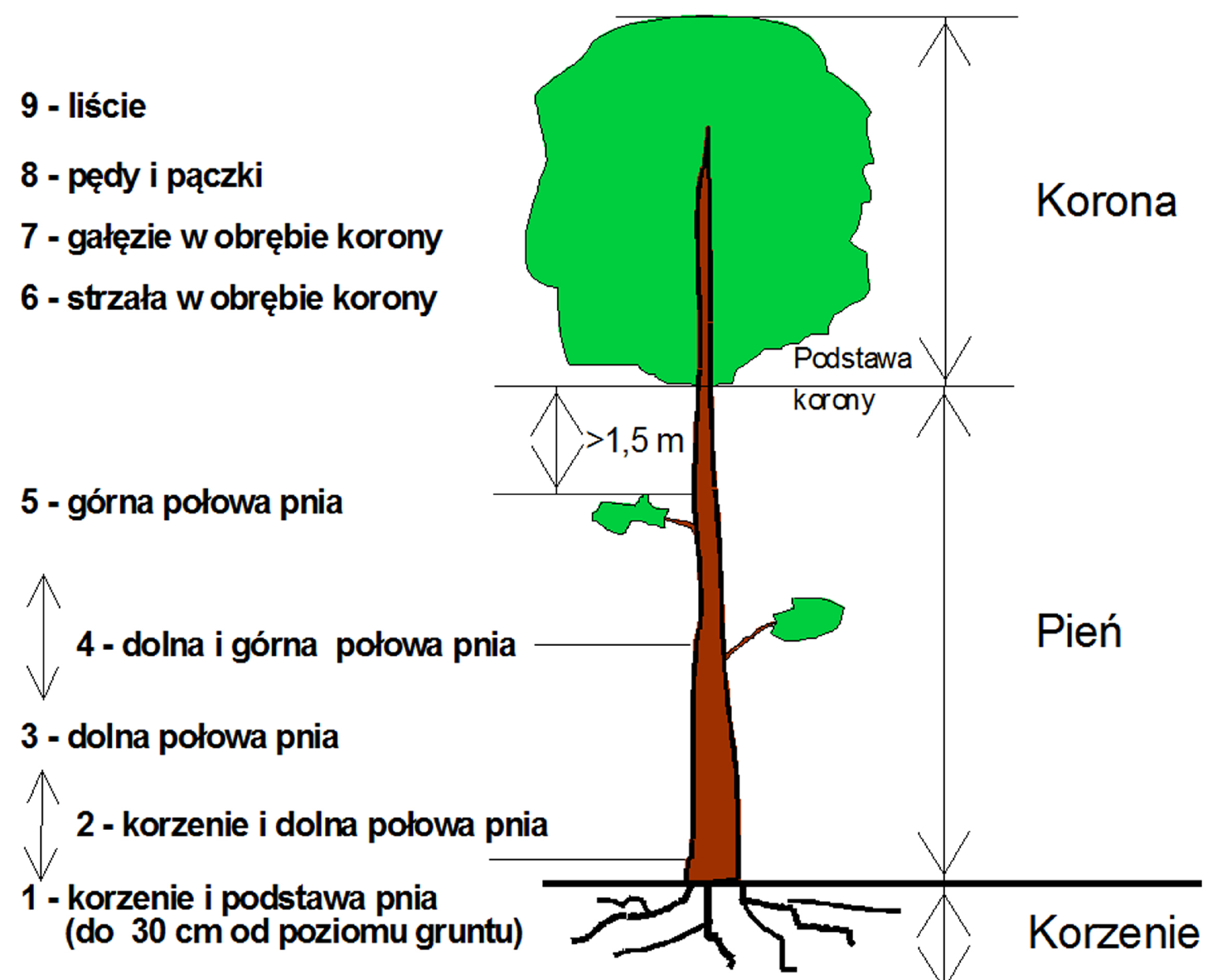 Klasyfikacja umiejscowienia (lokalizacji) uszkodzeń Oprócz rodzaju uszkodzenia, rejestracji podlega również miejsce jego wystąpienia (pole Uszkodzenie m.) patrz rys. 14.