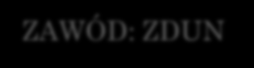 EDUKACYJNE FORUM KWALIFIKACJI ZAWODOWYCH MULTIMEDIALNY KATALOG ZAWODÓW ZAWÓD: ZDUN Program Operacyjny Kapitał Ludzki Priorytet III Wysoka jakość systemu