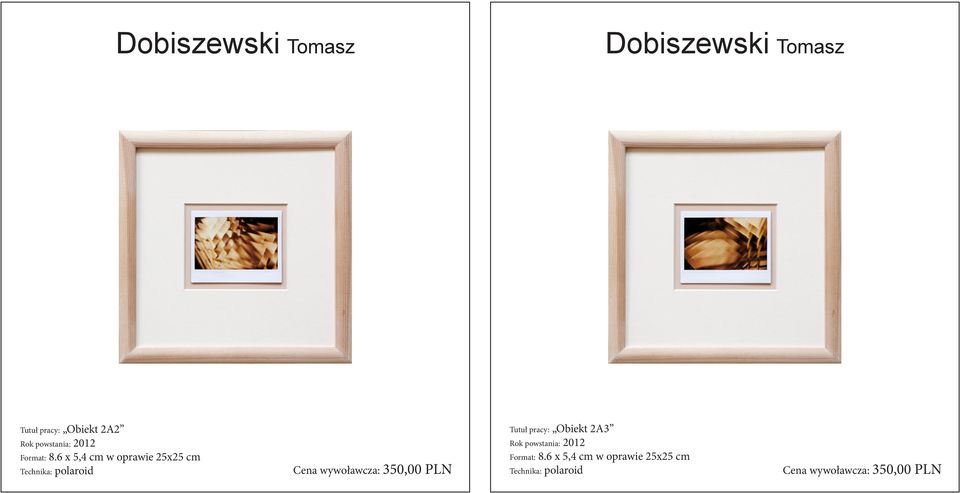 6 x 5,4 cm w oprawie 25x25 cm Technika: polaroid Cena wywoławcza: 350,00