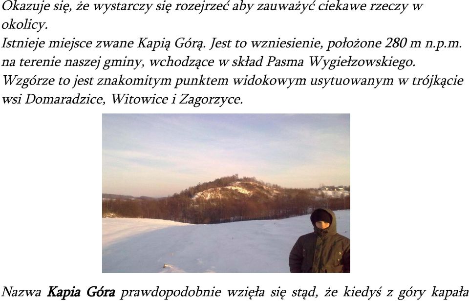 Wzgórze to jest znakomitym punktem widokowym usytuowanym w trójkącie wsi Domaradzice, Witowice i