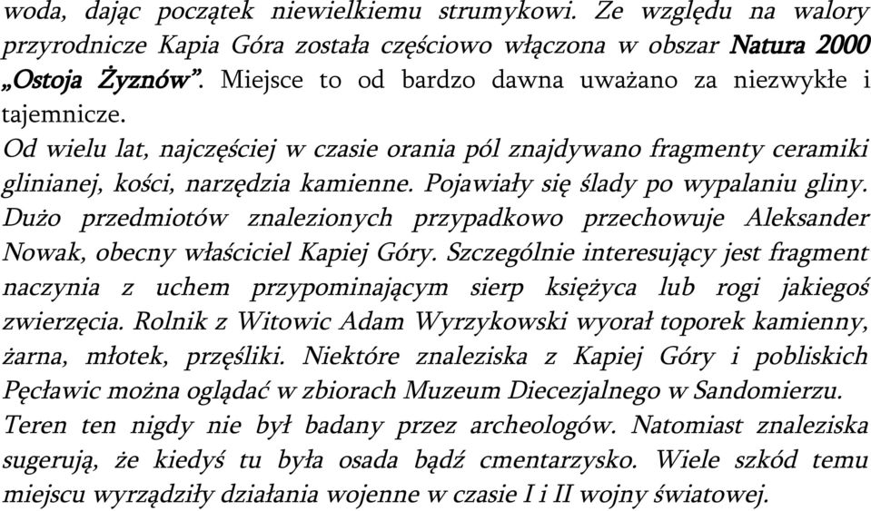 Pojawiały się ślady po wypalaniu gliny. Dużo przedmiotów znalezionych przypadkowo przechowuje Aleksander Nowak, obecny właściciel Kapiej Góry.