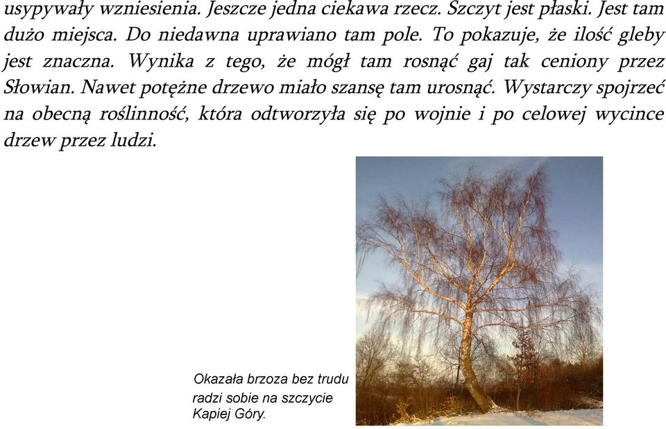 Wynika z tego, że mógł tam rosnąć gaj tak ceniony przez Słowian. Nawet potężne drzewo miało szansę tam urosnąć.