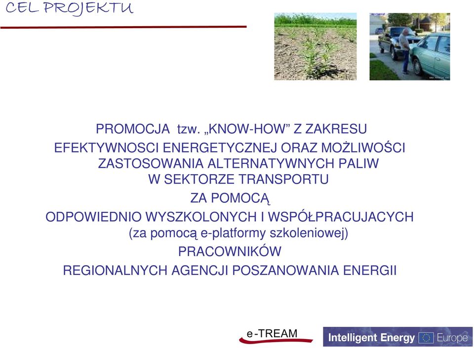 ZASTOSOWANIA ALTERNATYWNYCH PALIW W SEKTORZE TRANSPORTU ZA POMOCĄ