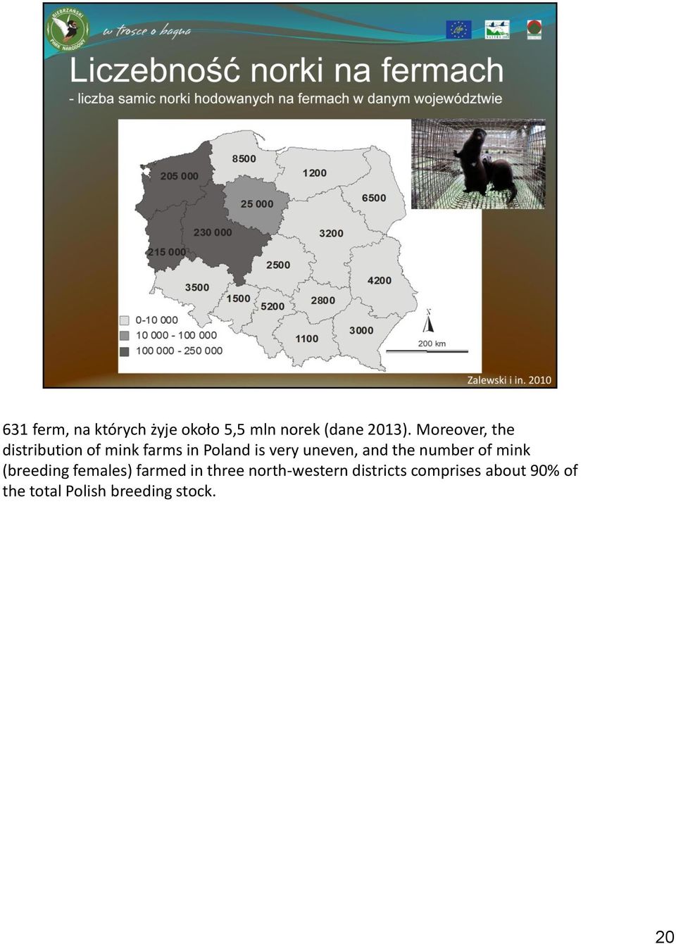 and the number of mink (breeding females) farmed in three