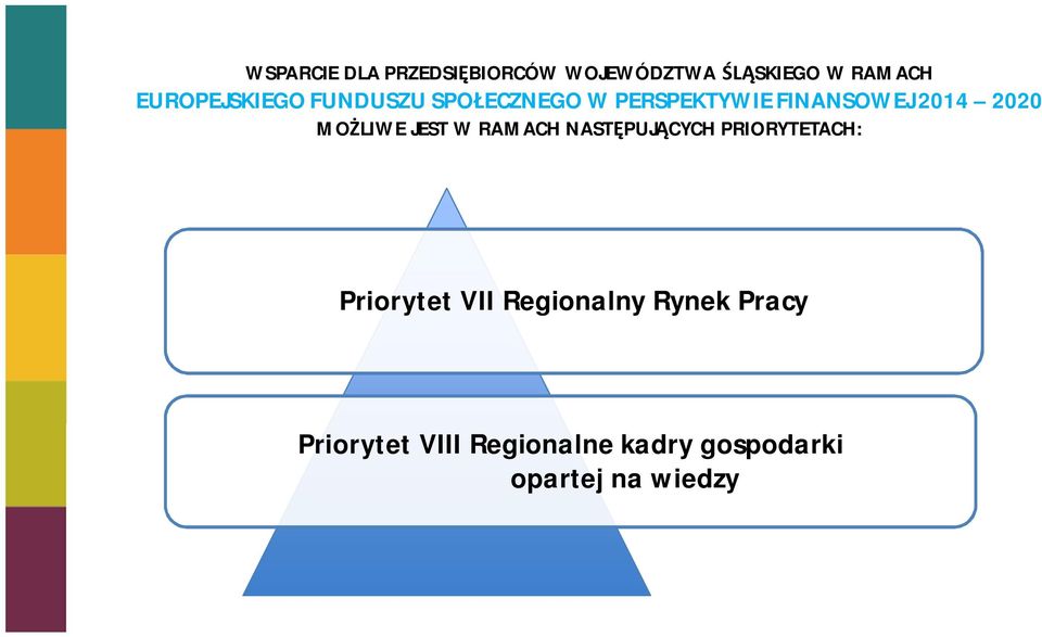 2020 MO LIWE JEST W RAMACH NAST PUJ CYCH PRIORYTETACH: Priorytet VII