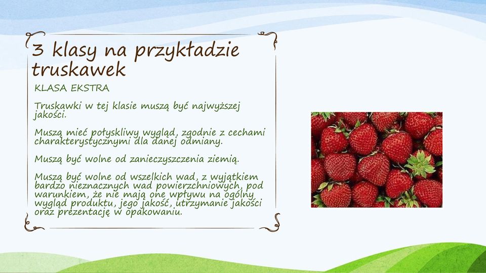 Muszą być wolne od zanieczyszczenia ziemią.