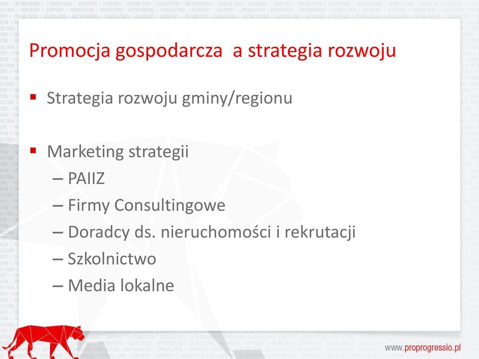 strategii PAIIZ Firmy Consultingowe Doradcy