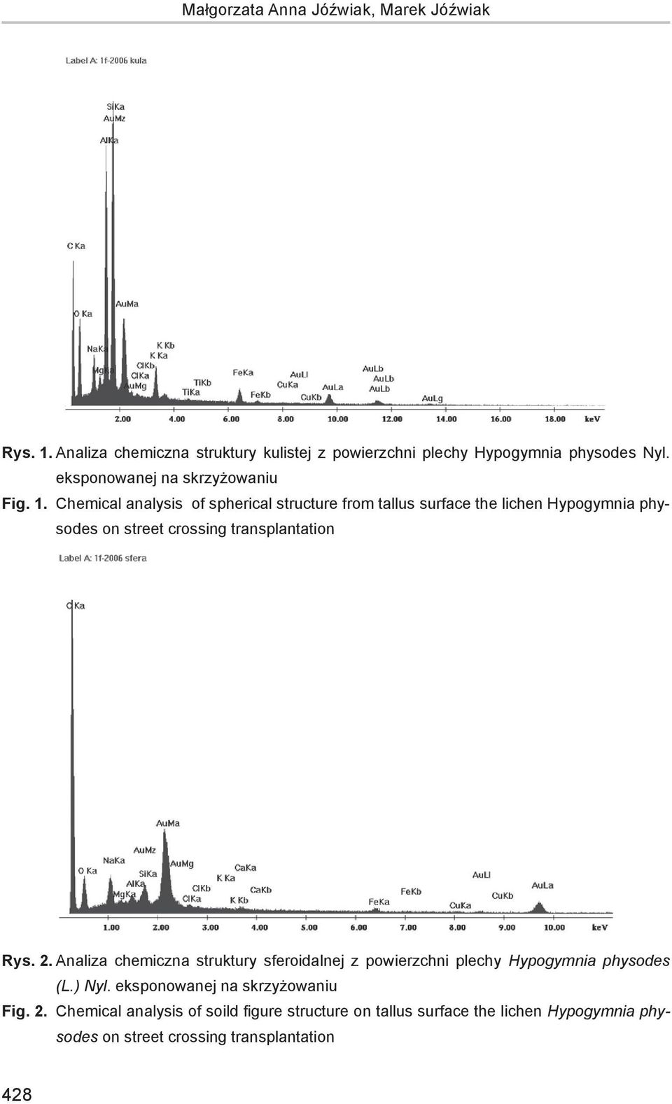 Chemical analysis of spherical structure from tallus surface the lichen Hypogymnia physodes on street crossing transplantation Rys. 2.