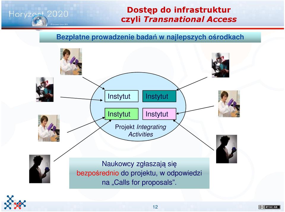 Instytut Instytut Projekt Integrating Activities Naukowcy