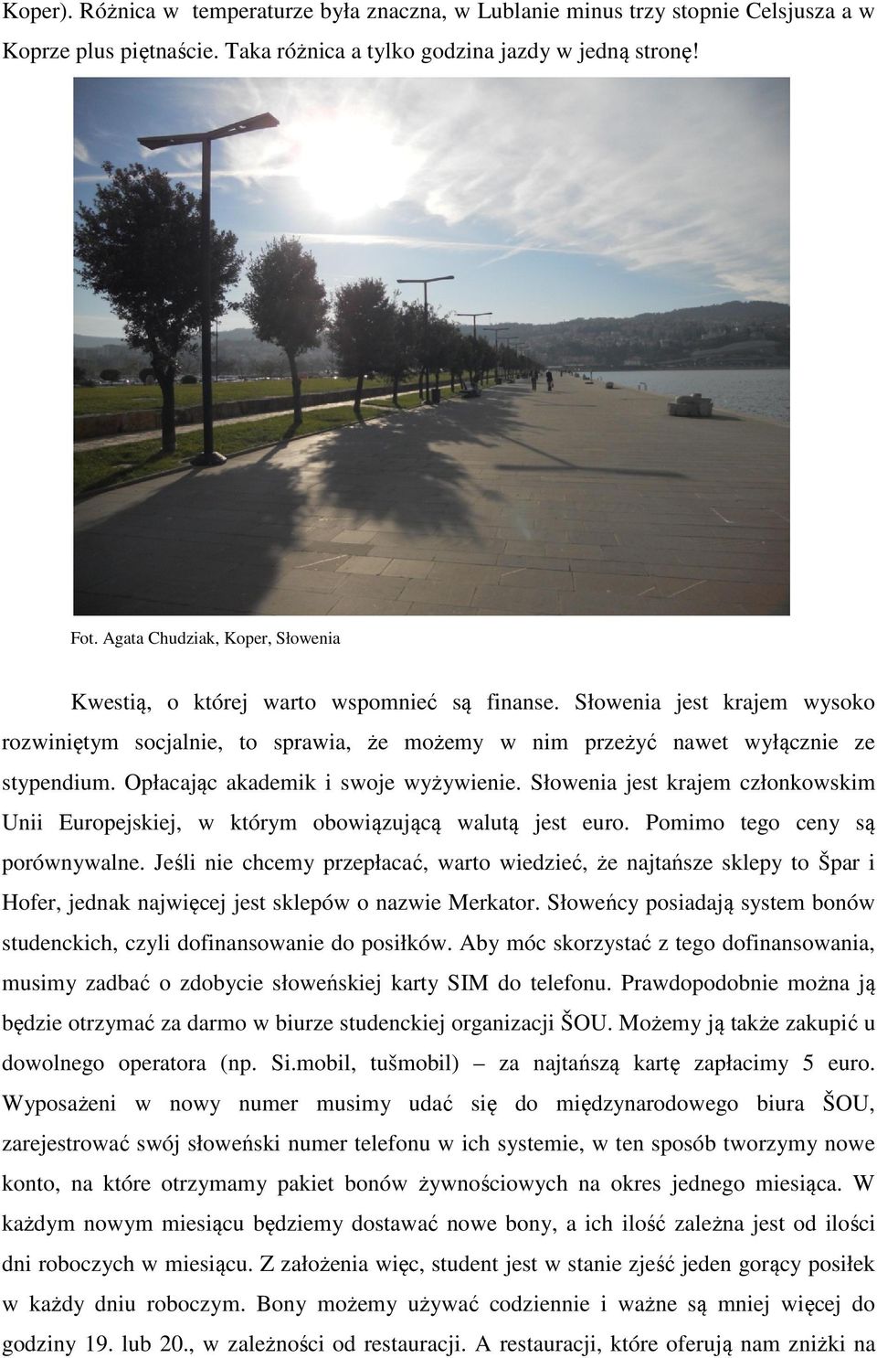 Opłacając akademik i swoje wyżywienie. Słowenia jest krajem członkowskim Unii Europejskiej, w którym obowiązującą walutą jest euro. Pomimo tego ceny są porównywalne.