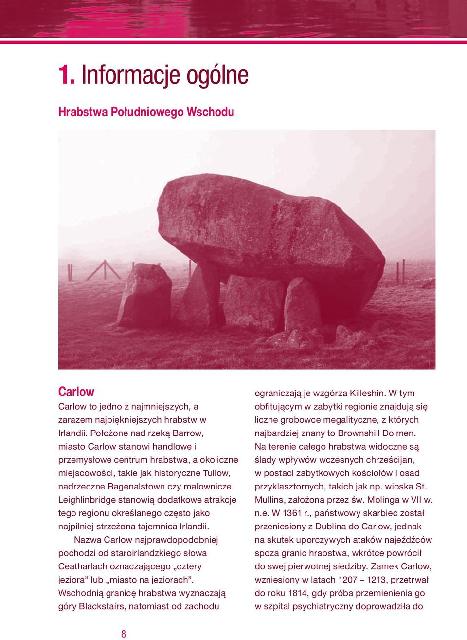 stanowią dodatkowe atrakcje tego regionu określanego często jako najpilniej strzeżona tajemnica Irlandii.