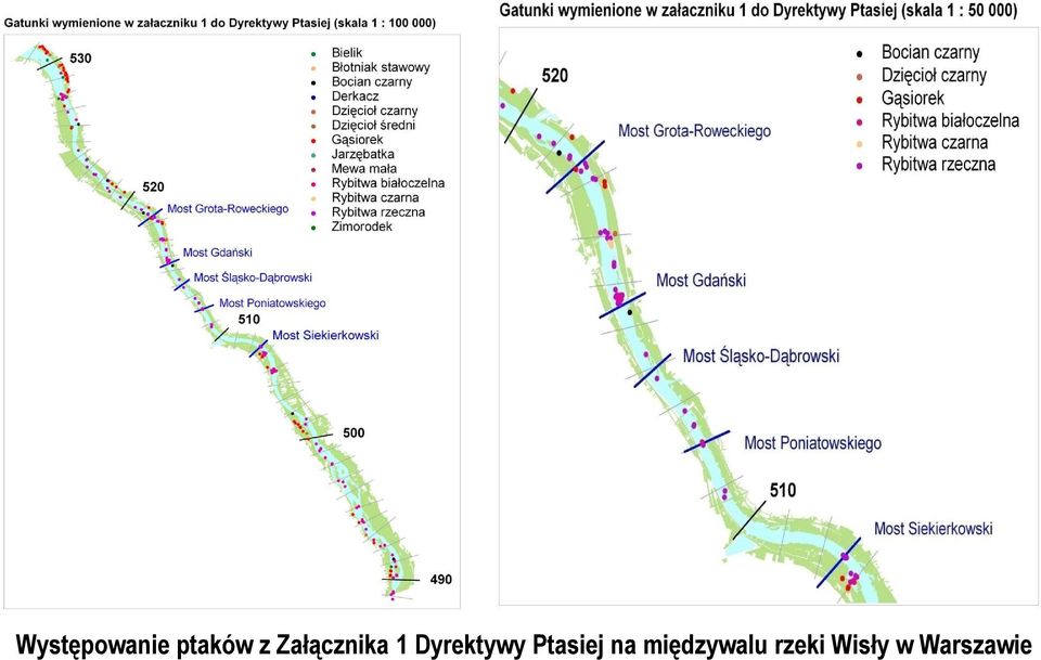 Ptasiej na międzywalu