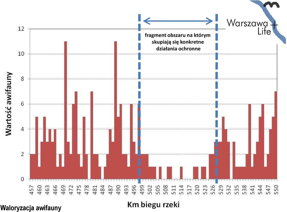 którym skupiają się