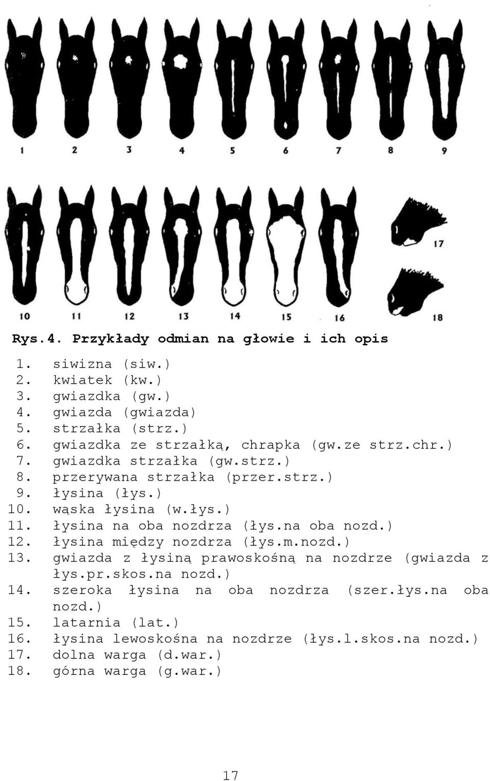 łysina na oba nozdrza (łys.na oba nozd.) 12. łysina między nozdrza (łys.m.nozd.) 13. gwiazda z łysiną prawoskośną na nozdrze (gwiazda z łys.pr.skos.na nozd.) 14.